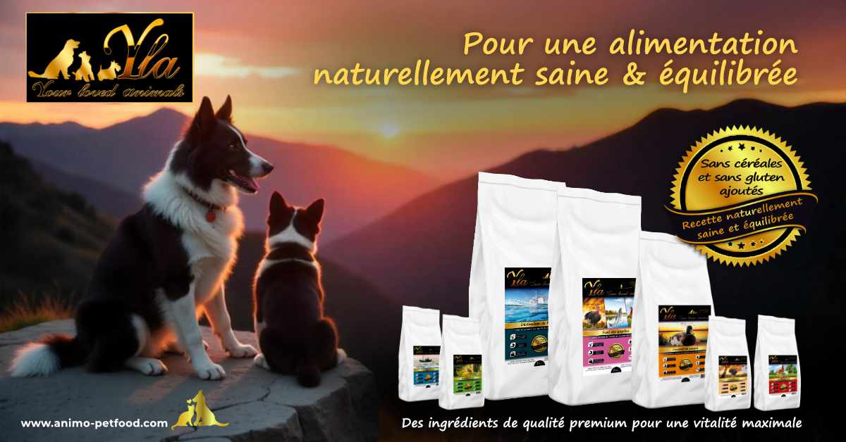 Croquettes YLA pour chien adulte, sans céréales et sans gluten, pour une alimentation équilibrée et adaptée aux besoins naturels des chiens